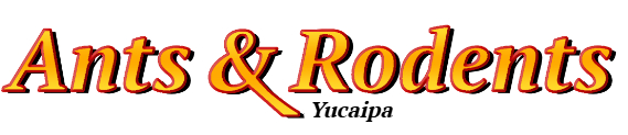 Yucaipa Ant Exterminator & Rodent Control Company Logo